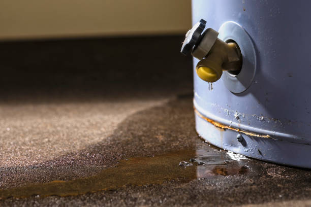 Best Water damage restoration near me  in Presquille, LA