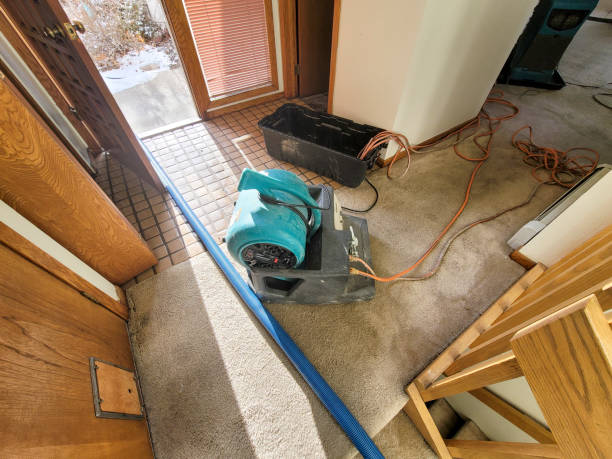 Best Commercial water damage restoration  in Presquille, LA