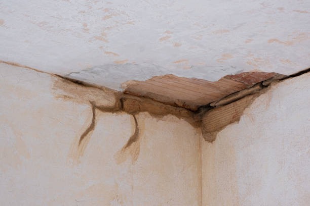 Best Flood restoration services  in Presquille, LA