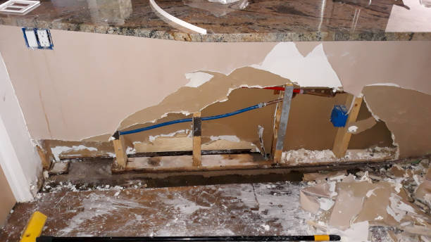 Best Flooded house restoration  in Presquille, LA