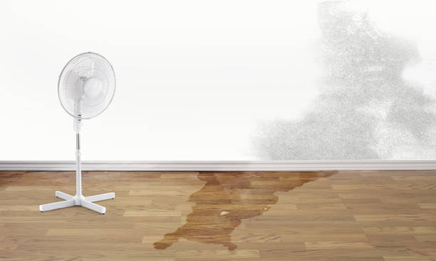 Best Sewage cleanup and water damage restoration  in Presquille, LA