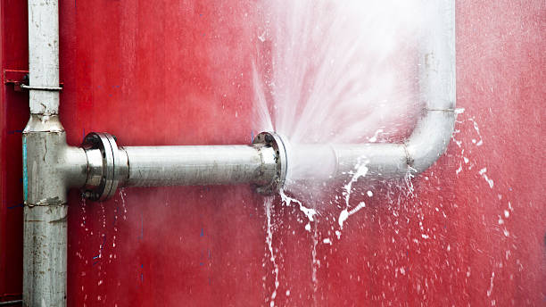 Best Mold removal after water damage  in Presquille, LA
